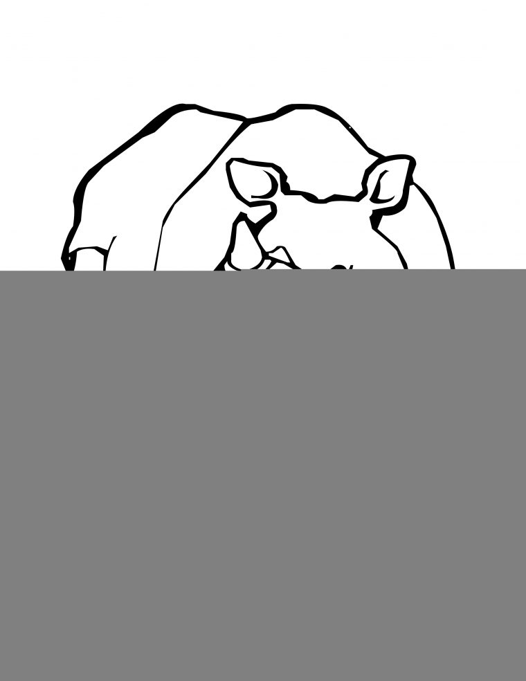 Animaux Afrique – Coloriages tout Coloriages Animaux