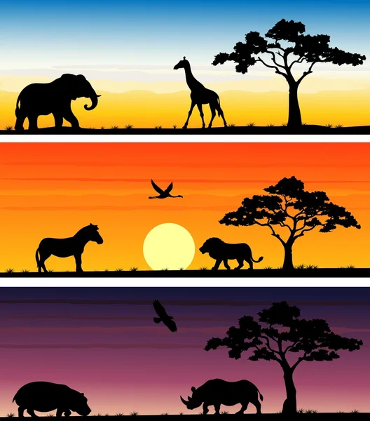 Animaux Afrique Drôle De Dessin Animé — Image Vectorielle encequiconcerne Dessin Animaux D Afrique 