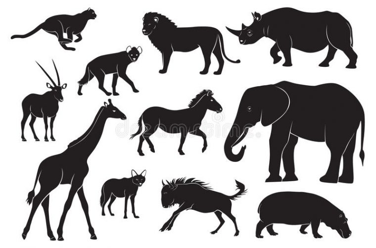 Animaux De L'Afrique Illustration De Vecteur. Illustration intérieur Dessin Animaux D Afrique