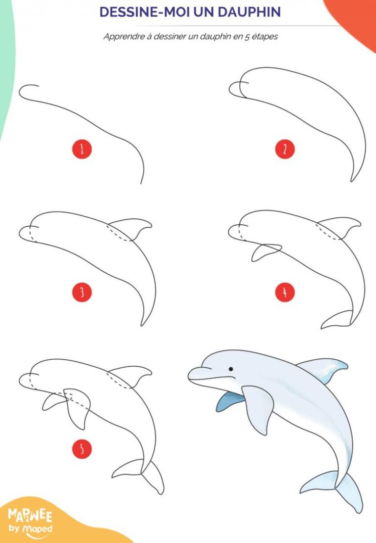 Apprendre À Dessiner Des Animaux Marins En 5 Étapes destiné Apprendre Le Dessin Pas A Pas