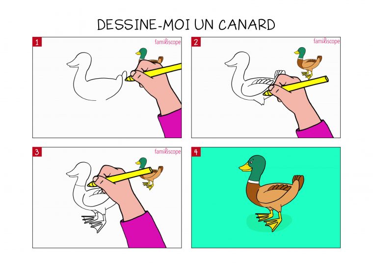 Apprendre À Dessiner Un Canard En 3 Étapes serapportantà Apprendre À Dessiner Enfant