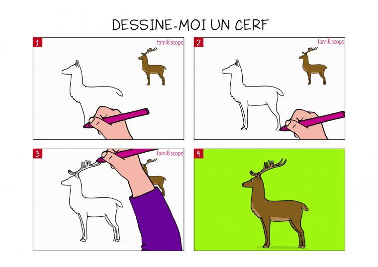 Apprendre À Dessiner Un Cerf En 3 Étapes concernant Apprendre A Dessiner Un Lapin Facilement