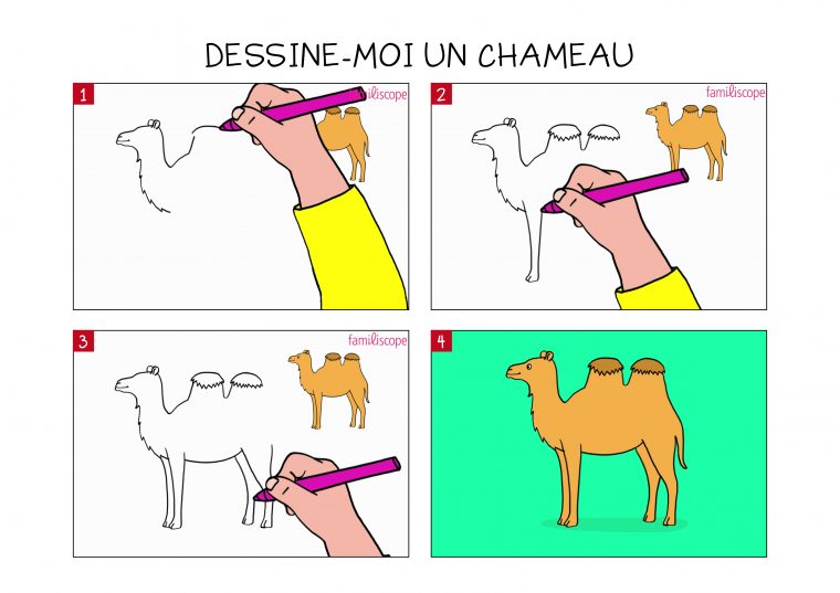 Apprendre À Dessiner Un Chameau En 3 Étapes tout Apprendre À Dessiner Enfant