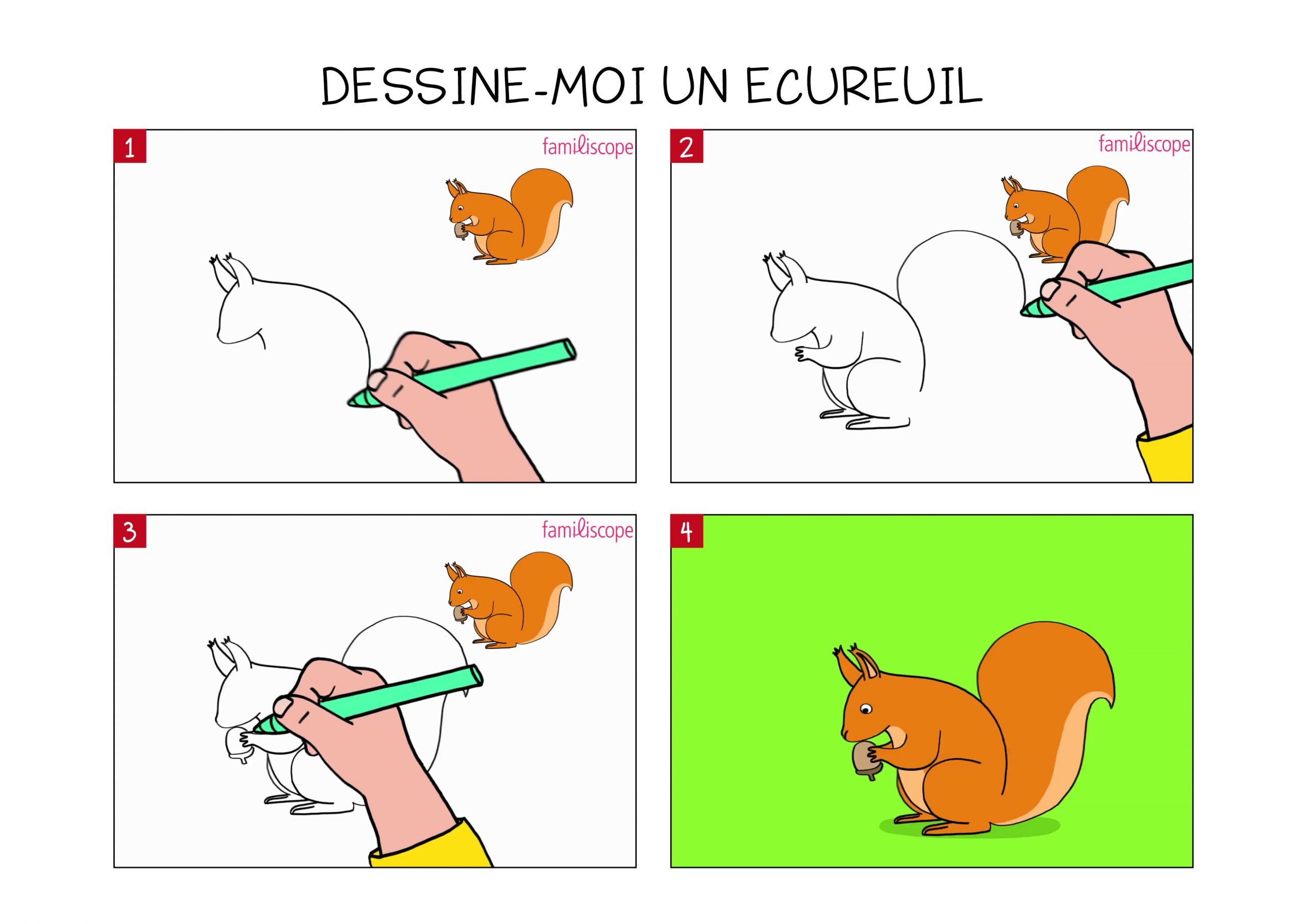 Apprendre À Dessiner Un Écureuil En 3 Étapes pour Apprendre A Dessiner Un Lapin Facilement