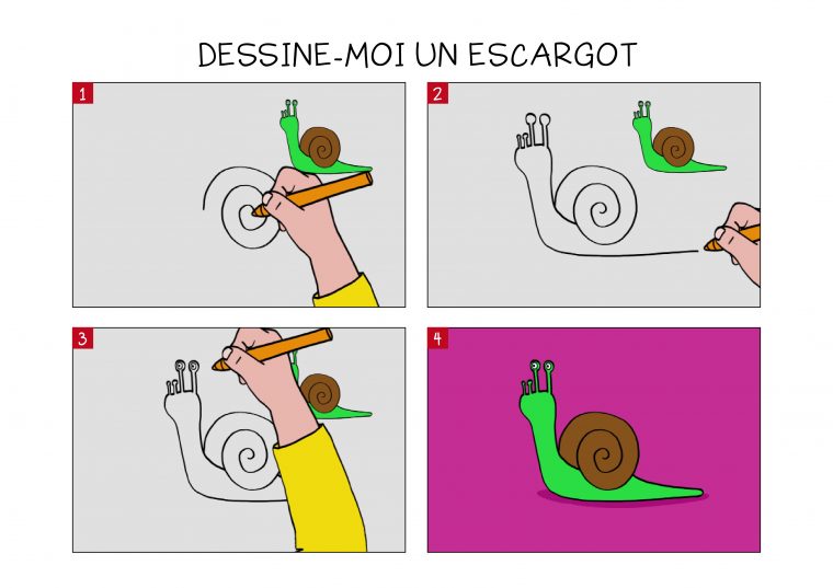 Apprendre À Dessiner Un Escargot En 3 Étapes concernant Image A Dessiner