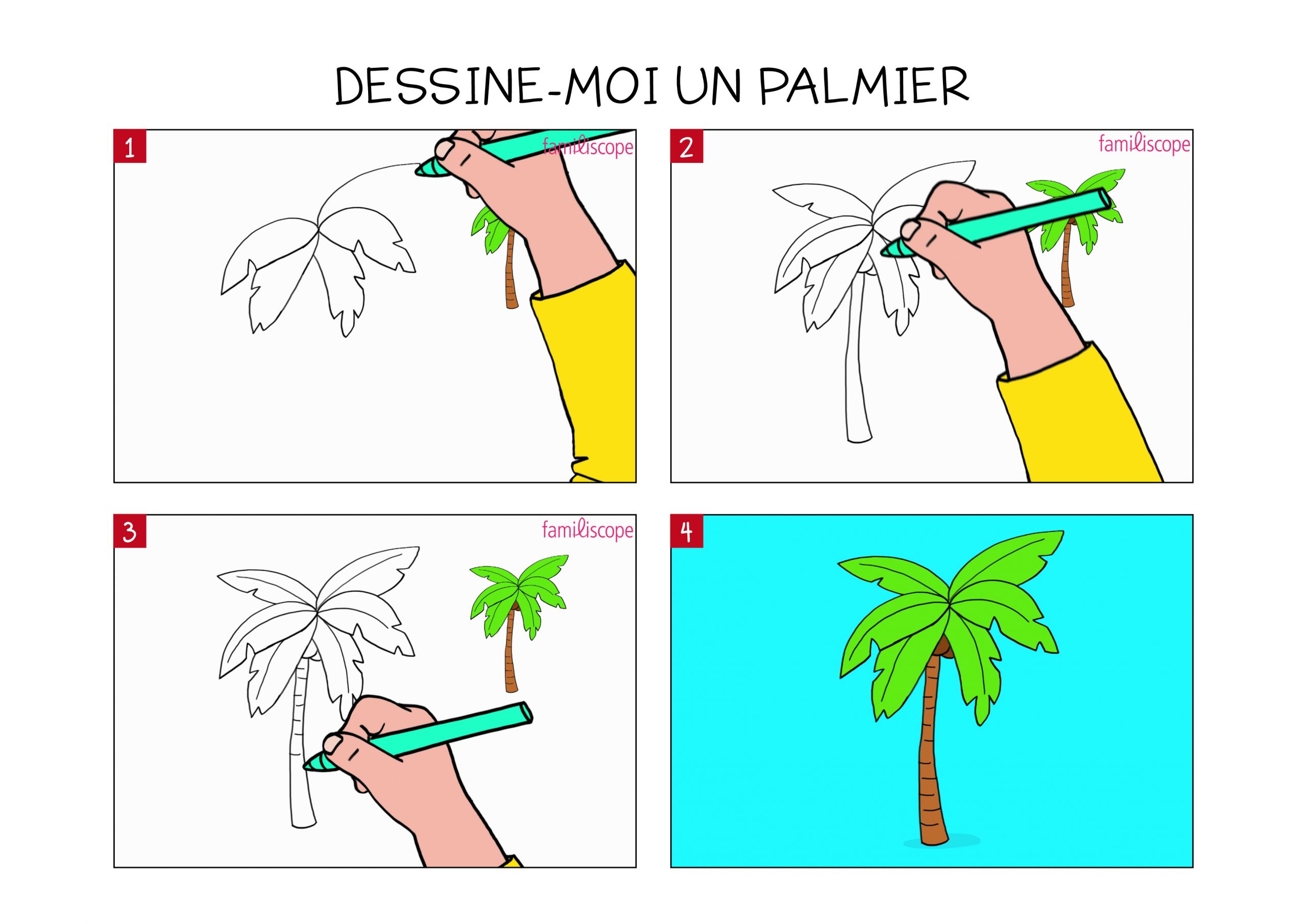 Apprendre À Dessiner Un Palmier En 3 Étapes serapportantà Comment Dessiner Une Abeille 
