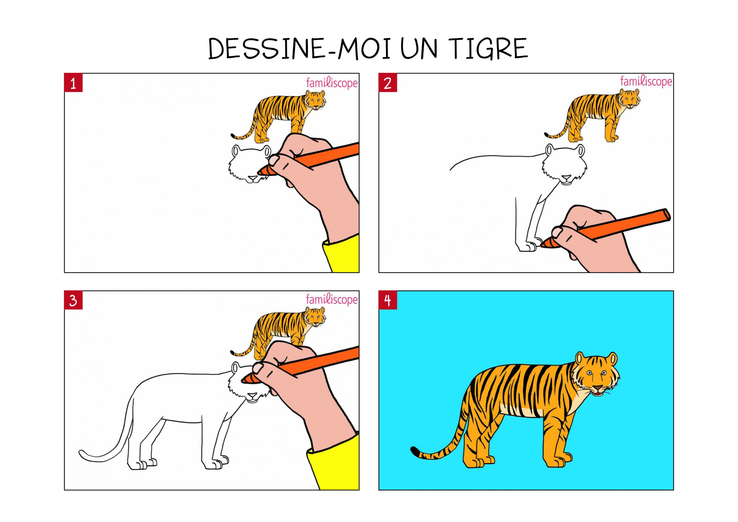 Apprendre À Dessiner Un Tigre En 3 Étapes pour Apprendre A Dessiner Gratuitement 