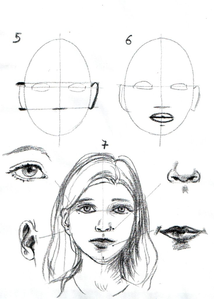 Apprendre A Dessiner Un Visage Etape Par Etape  Portrait dedans Apprendre À Dessiner Personnage 