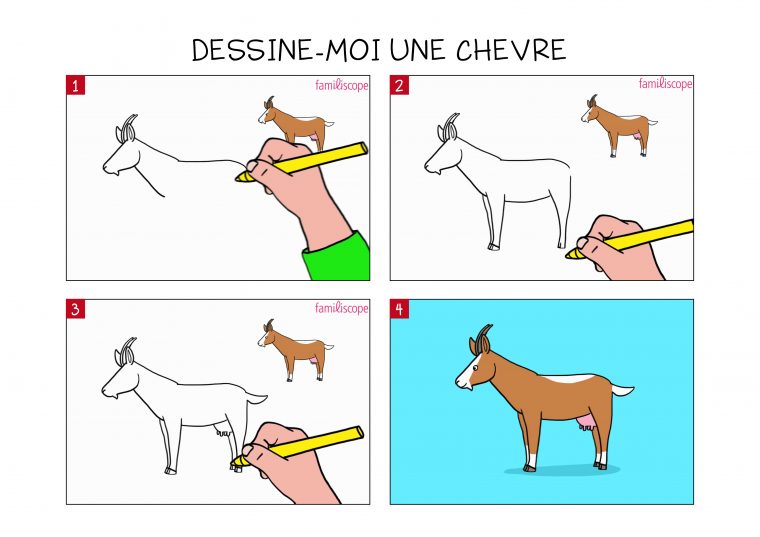 Apprendre À Dessiner Une Chèvre En 3 Étapes intérieur Apprendre A Dessiner Animaux