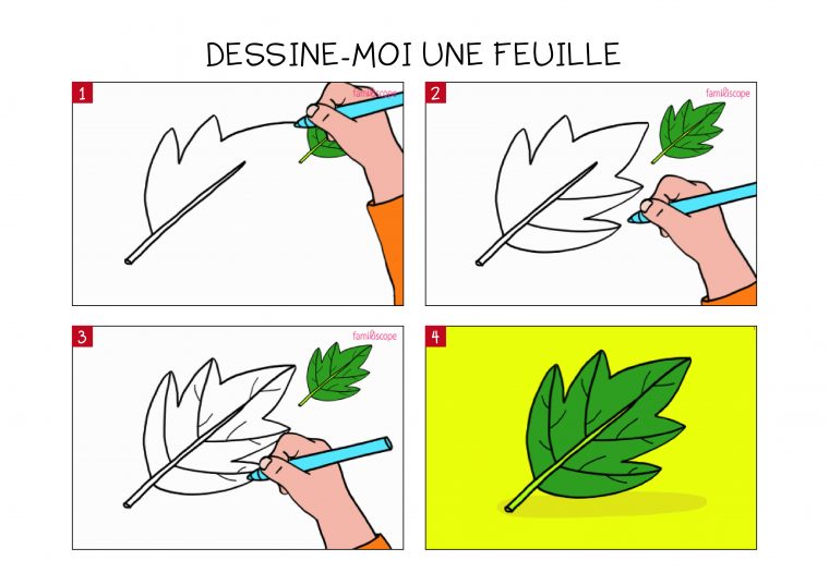 Apprendre À Dessiner Une Feuille En 3 Étapes tout Apprendre A Dessiner Une Fourmi