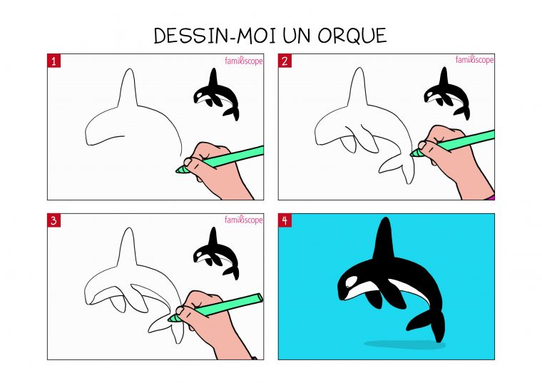 Apprendre À Dessiner Une Orque En 3 Étapes serapportantà Apprendre À Dessiner Les Mains