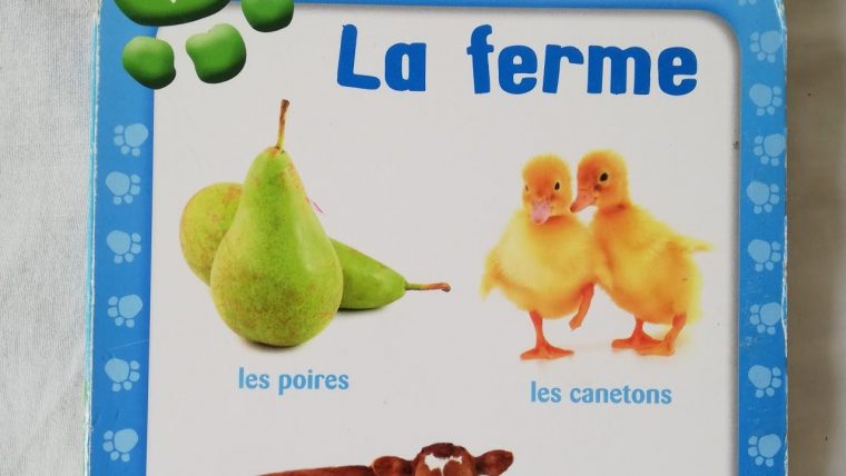 Apprendre Les Animaux De La Ferme 🐔 – intérieur Apprendre Les Animaux