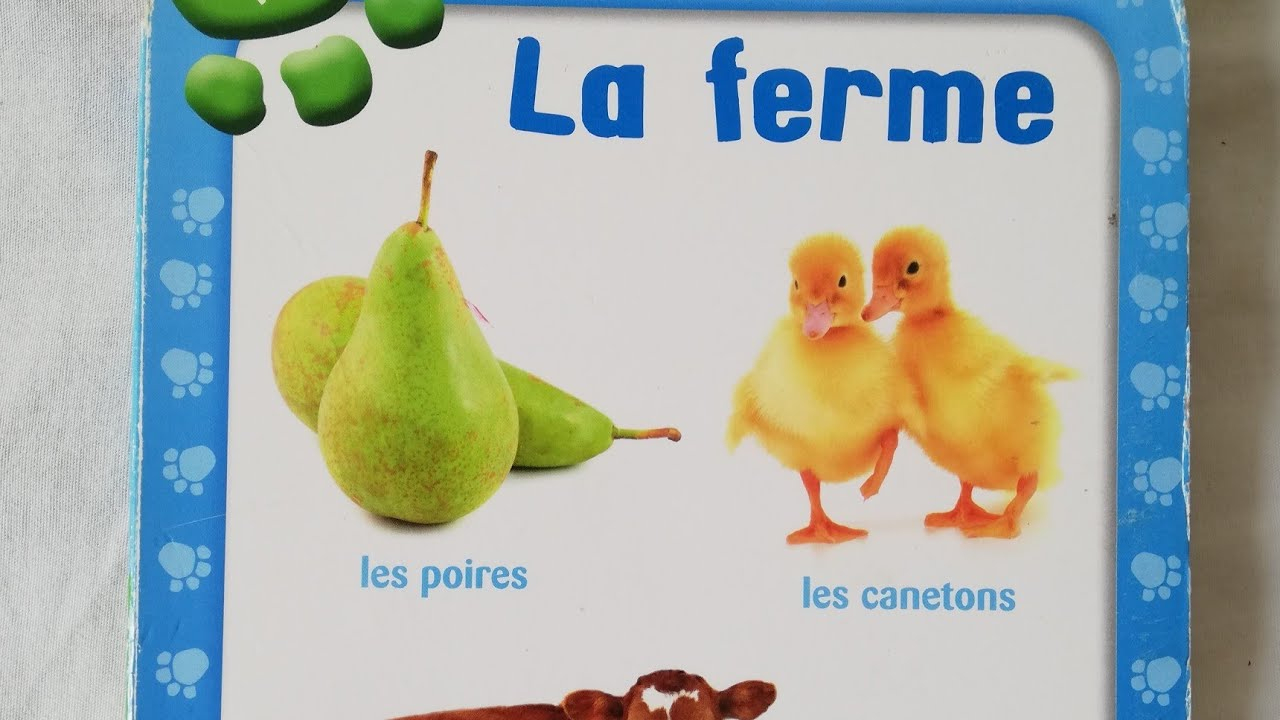 Apprendre Les Animaux De La Ferme 🐔 - intérieur Apprendre Les Animaux 