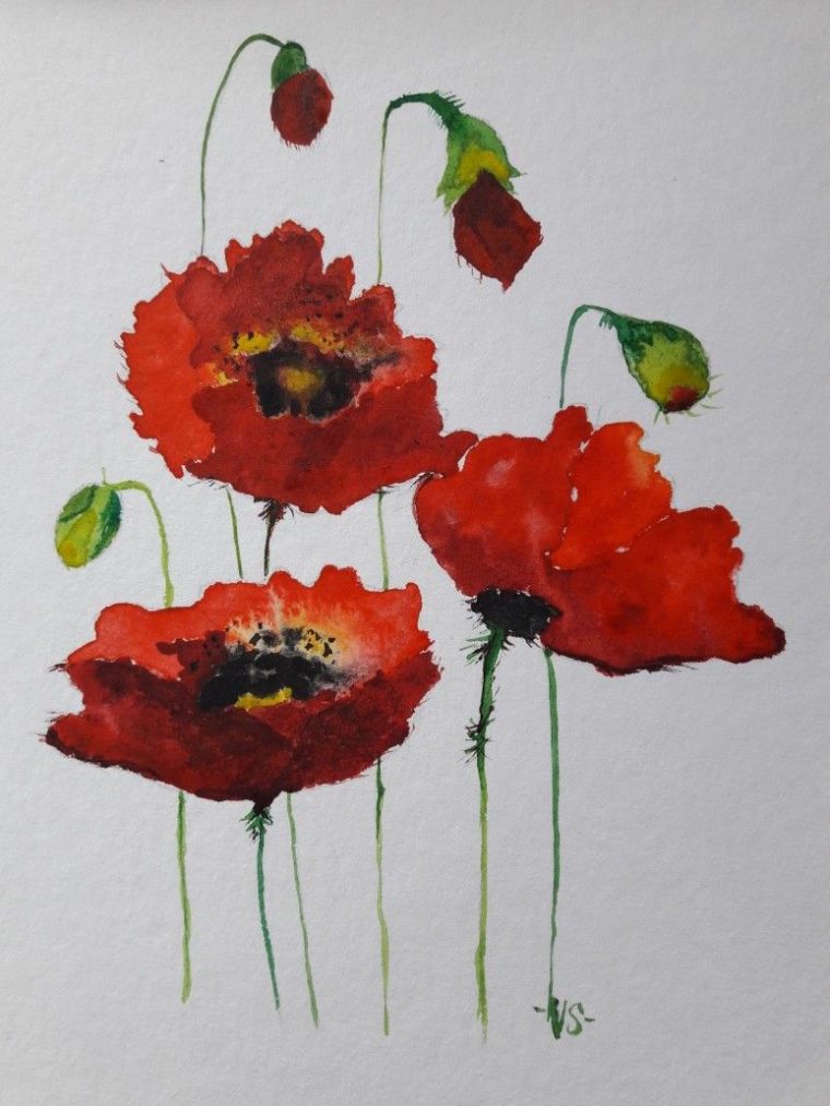 Aquarelle Coquelicot Mai 19 destiné Dessin Coquelicot