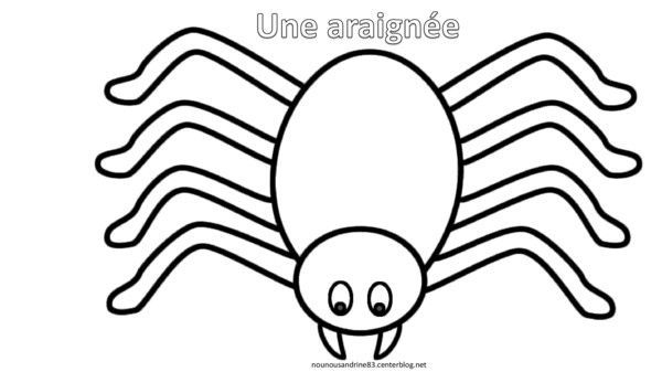 Araignée Coloriage Jeux Couleurs encequiconcerne Araignée Coloriage 