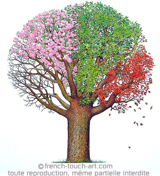 Arbre Des Quatre Saisons  Les Quatre Saisons, Arbre, Les encequiconcerne Arbre Printemps Dessin 