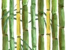 Arbre En Bambou De Feuilles Tropicales Dans Un Style D destiné Dessin De Bambou