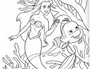 Ariel La Petite Sirène Disney - Coloriage La Petite Sirène à Coloriage Sirene Et Princesse