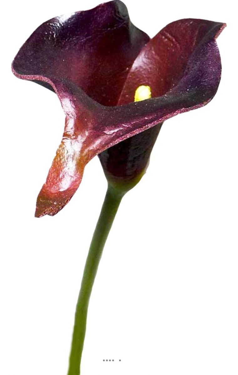 Arum Calla Fleur Artificielle H 42 Cm Superbe Du Site intérieur Fleurs Arum