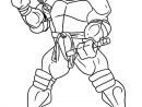 Baby Ninja Turtle Coloring Pages At Getcolorings à Tortue Ninja Coloriage