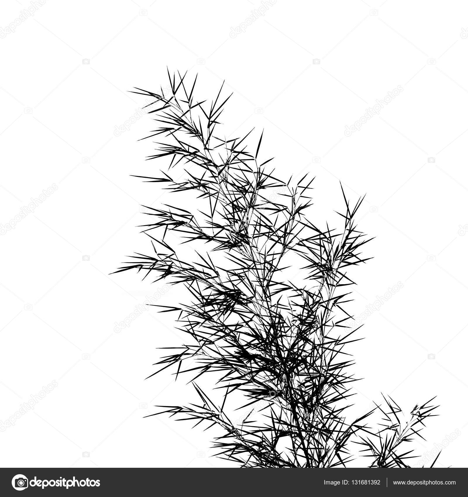Bambou Dessin Noir Et Blanc - Illustration De Minimalistic serapportantà Dessin De Bambou 