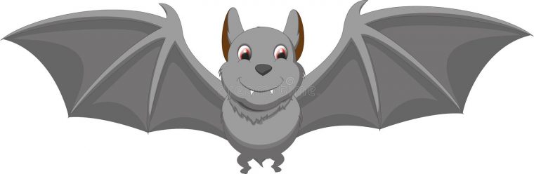 Bande Dessinée Grise Mignonne De Chauve-Souris avec Dessin Chauve Souris