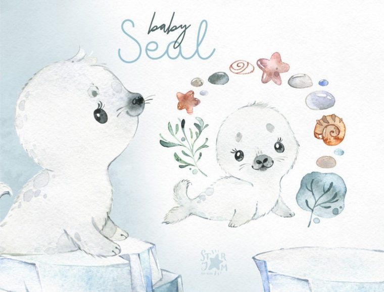 Bébé Phoque. Aquarelle Petit Clipart Animal Doux Blanc  Etsy à Dessin De Phoque