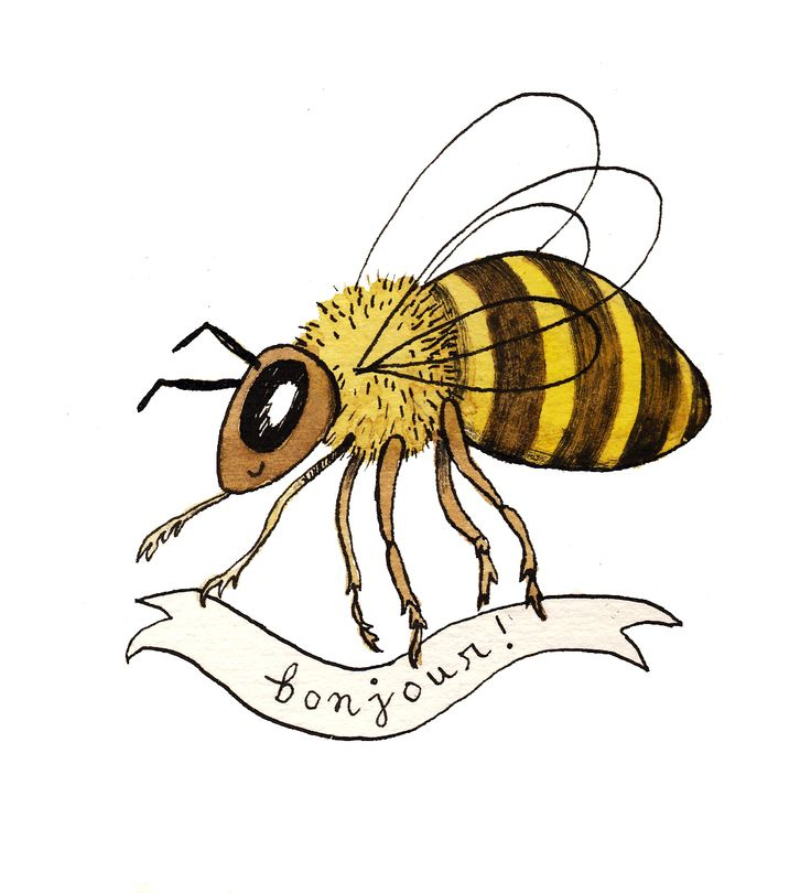 Bee Abeille Illustration By Robin Clugston avec Abeille Dessin 