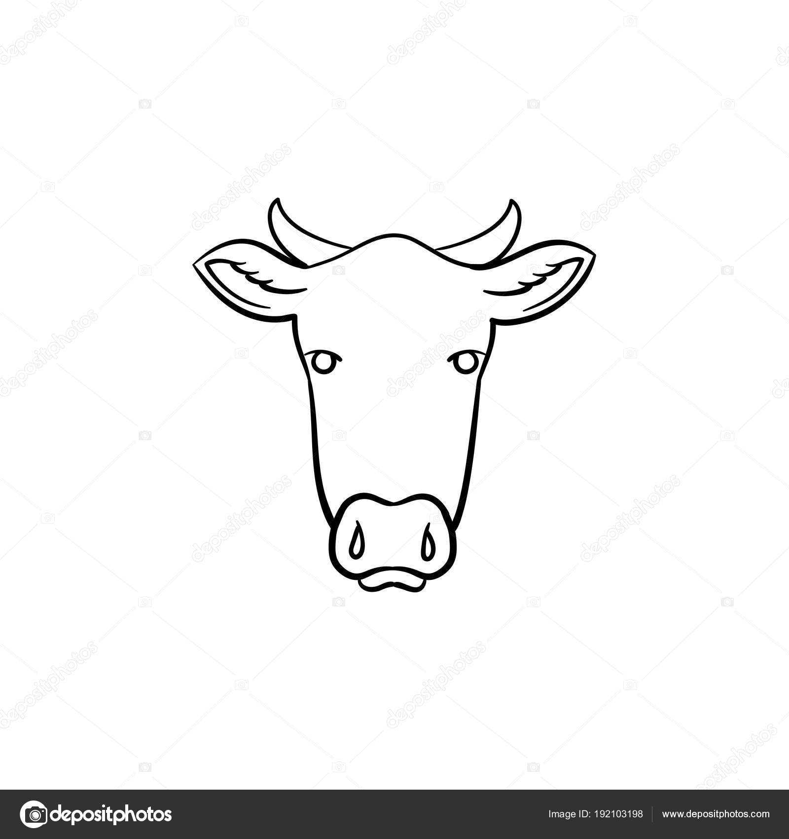 Belle Coloriage Vache A Imprimer  Meilleur Coloriage Pour à Tete De Vache A Imprimer 