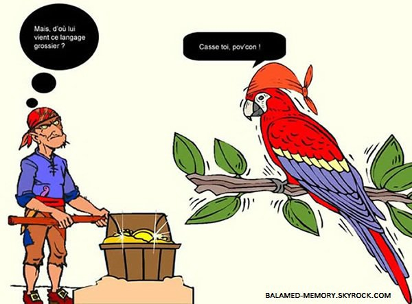 Blague De La Semaine : Perroquet Bilingue - Blog De à Perroquet Anglais