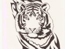 Blog De Art-Animalier  Uage Tigre Tribal, Dessin avec Animal Polaire Noire Et Blanc Dessin