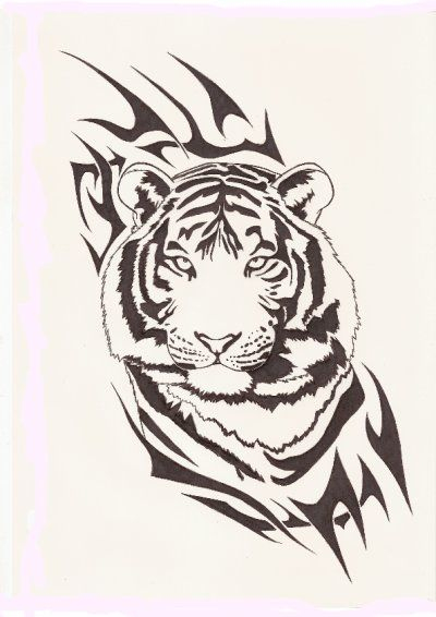 Blog De Art-Animalier  Uage Tigre Tribal, Dessin avec Animal Polaire Noire Et Blanc Dessin