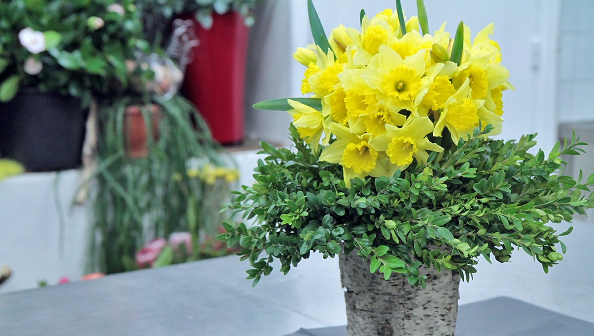 Bouquet De Jonquille  Y-Hello From The Flower Side 💐 pour Dessiner Une Jonquille