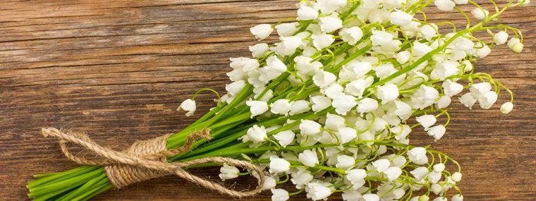 Bouquet De Muguet Gratuit Avec Text  Muguet 1Er Mai Et avec Image De Muguet Gratuit