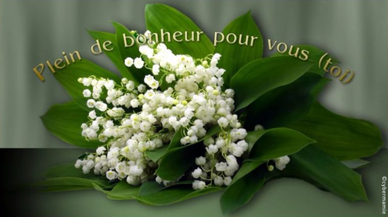 Bouquet De Muguet Gratuit – Épinglé Sur Plantes intérieur Image De Muguet Gratuit