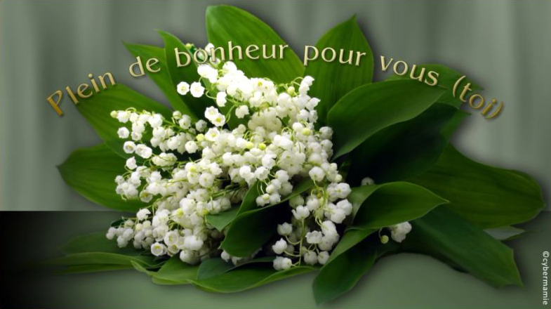 Bouquet De Muguet Gratuit - Épinglé Sur Plantes intérieur Image De Muguet Gratuit 