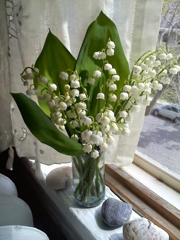 Bouquet De Muguet Gratuit  Fonds D&amp;#039;Ecran Bouquets Muguet encequiconcerne Image De Muguet Gratuit 