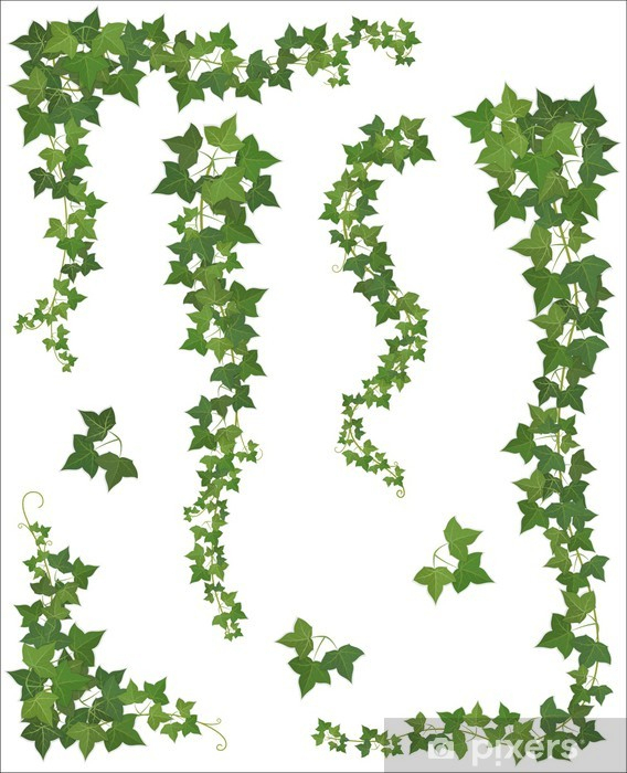 Branche De Lierre Dessin - Vector - Decorative Branch dedans Lierre Dessin 