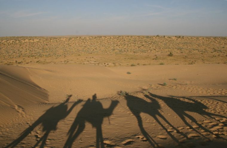 Camel Safari A Jaisalmer – Notre Petit Grain D'Asie pour Le Cri Du Chameau