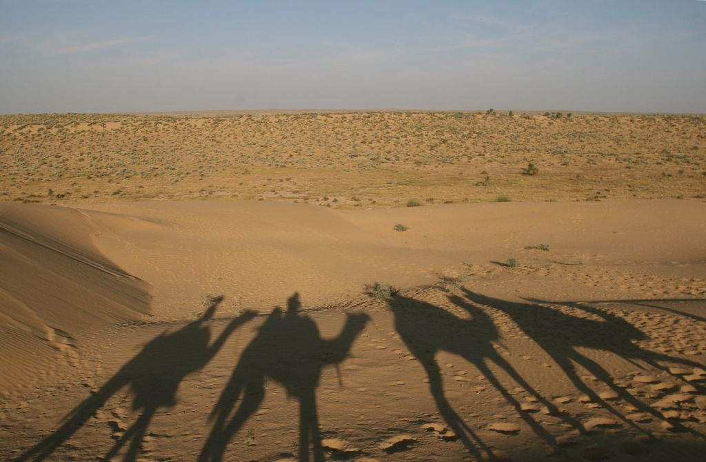 Camel Safari A Jaisalmer - Notre Petit Grain D'Asie pour Le Cri Du Chameau