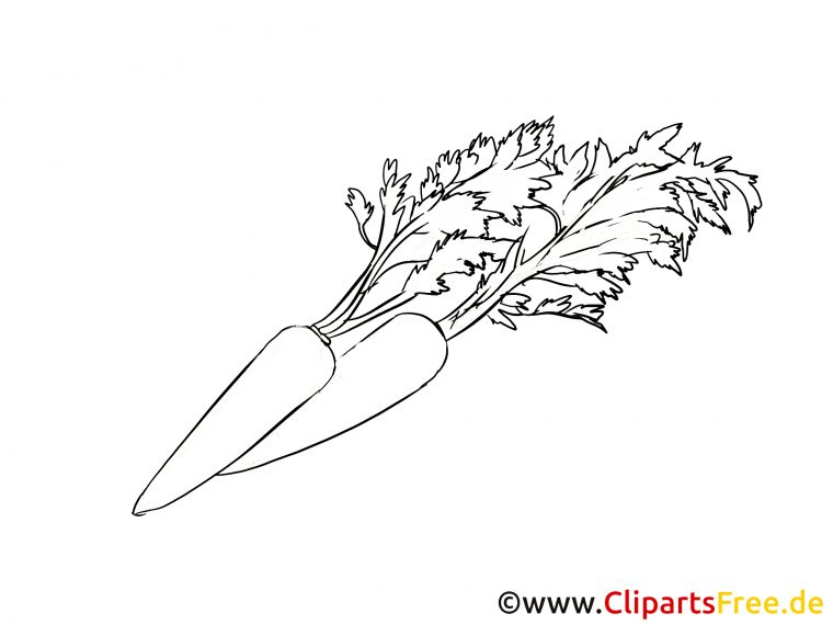 Carotte Illustration – Légumes À Colorier – Légumes serapportantà Coloriage De Carotte