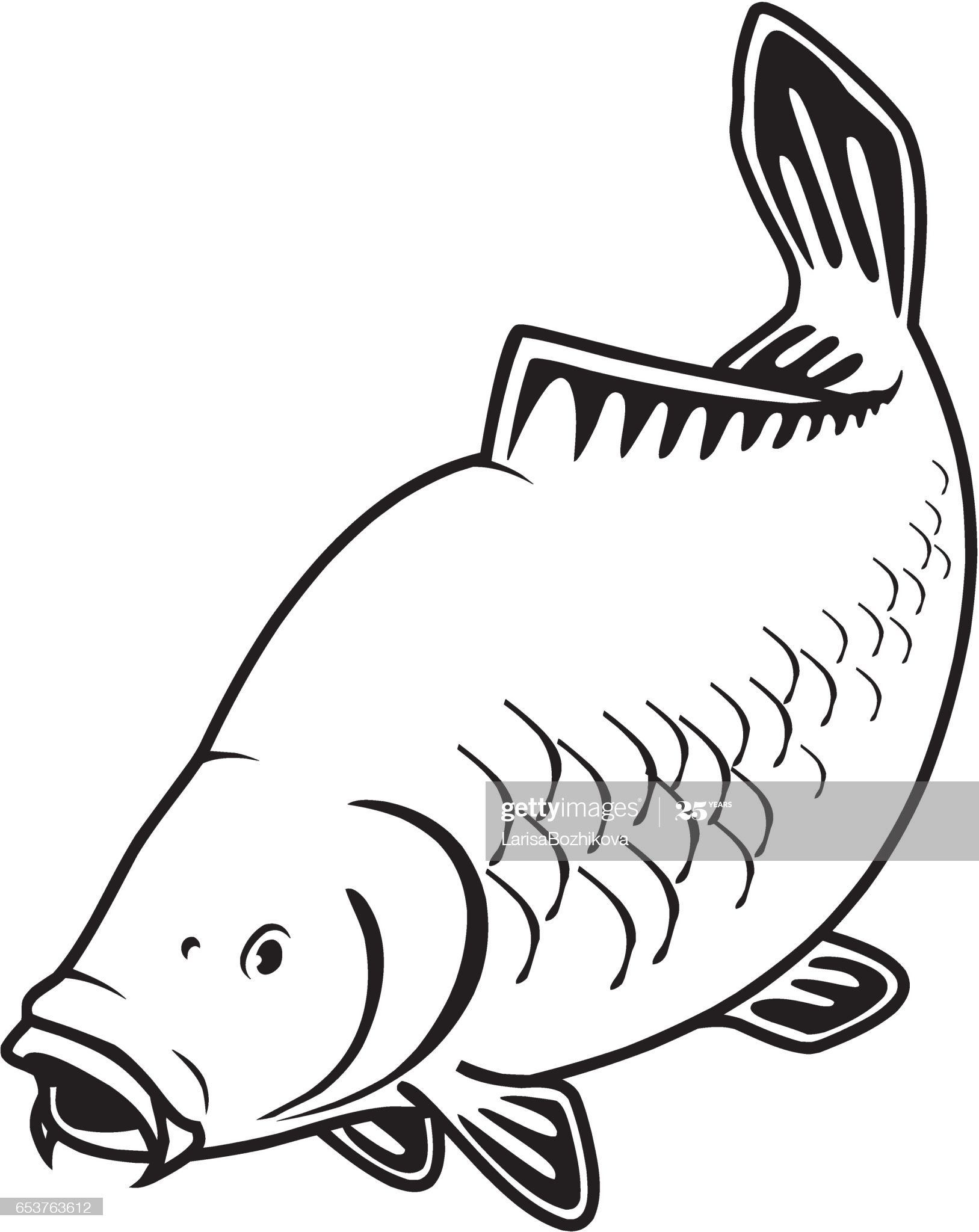 Carp Fish As A Fishing Symbol En 2020  Carpe Commune tout Dessin Poisson Mort