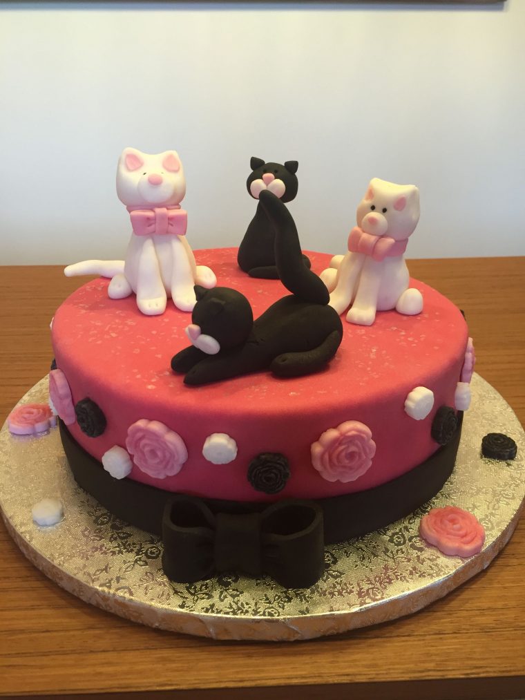 Cats Cake  Pasteles pour Bebe Lilly Chocolat