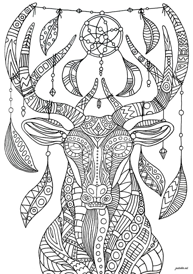 Cerf Attrape Rêves Complexe – Cerfs – Coloriages destiné Coloriage Difficile Pour Adulte