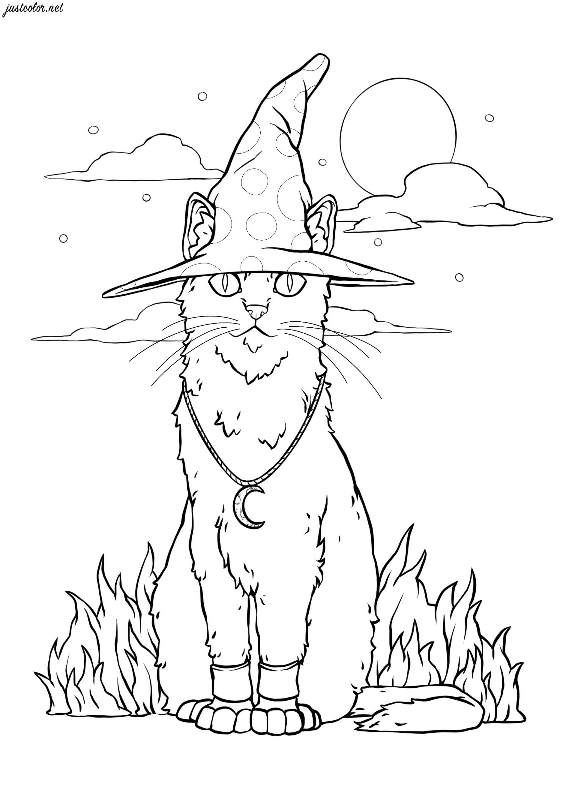 Chat Sorcier D&amp;#039;Halloween - Coloriage Halloween tout Coloriage Pour Halloween 