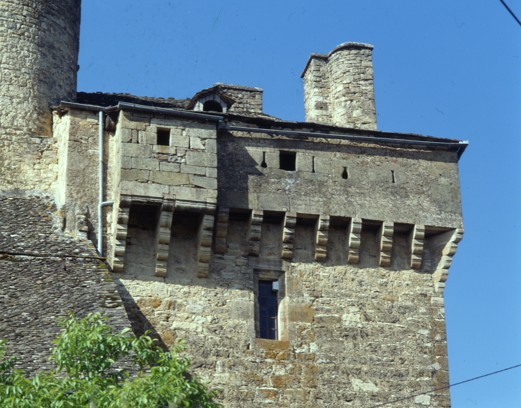 Château Fort concernant Chateau Fort Description 