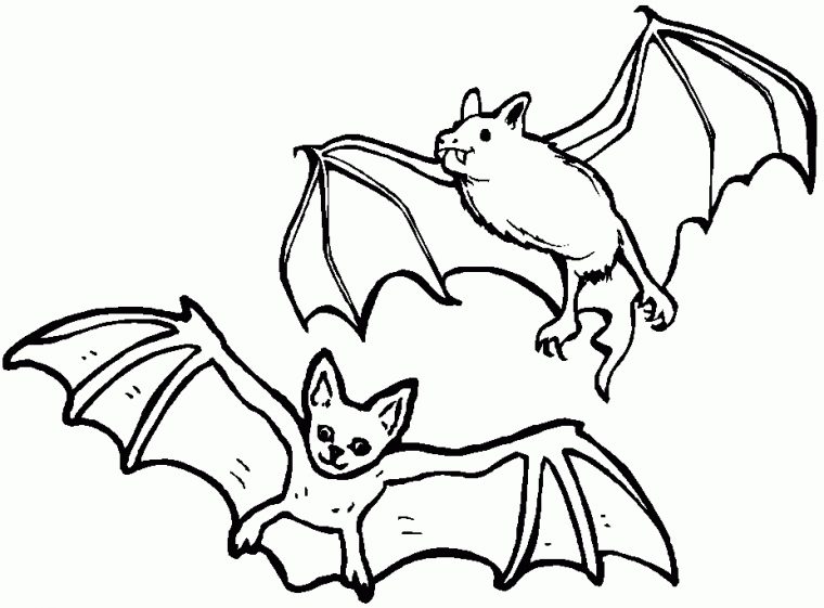 Chauve Souris À Colorier Cool Photos 30 Dessins De destiné Chauve Souris A Colorier