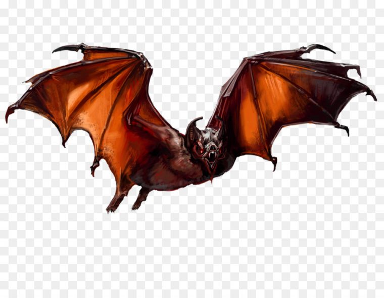 Chauve Souris, Donjons Dragons, Chauve Souris Vampire Png avec Chauve Sourie Vampire