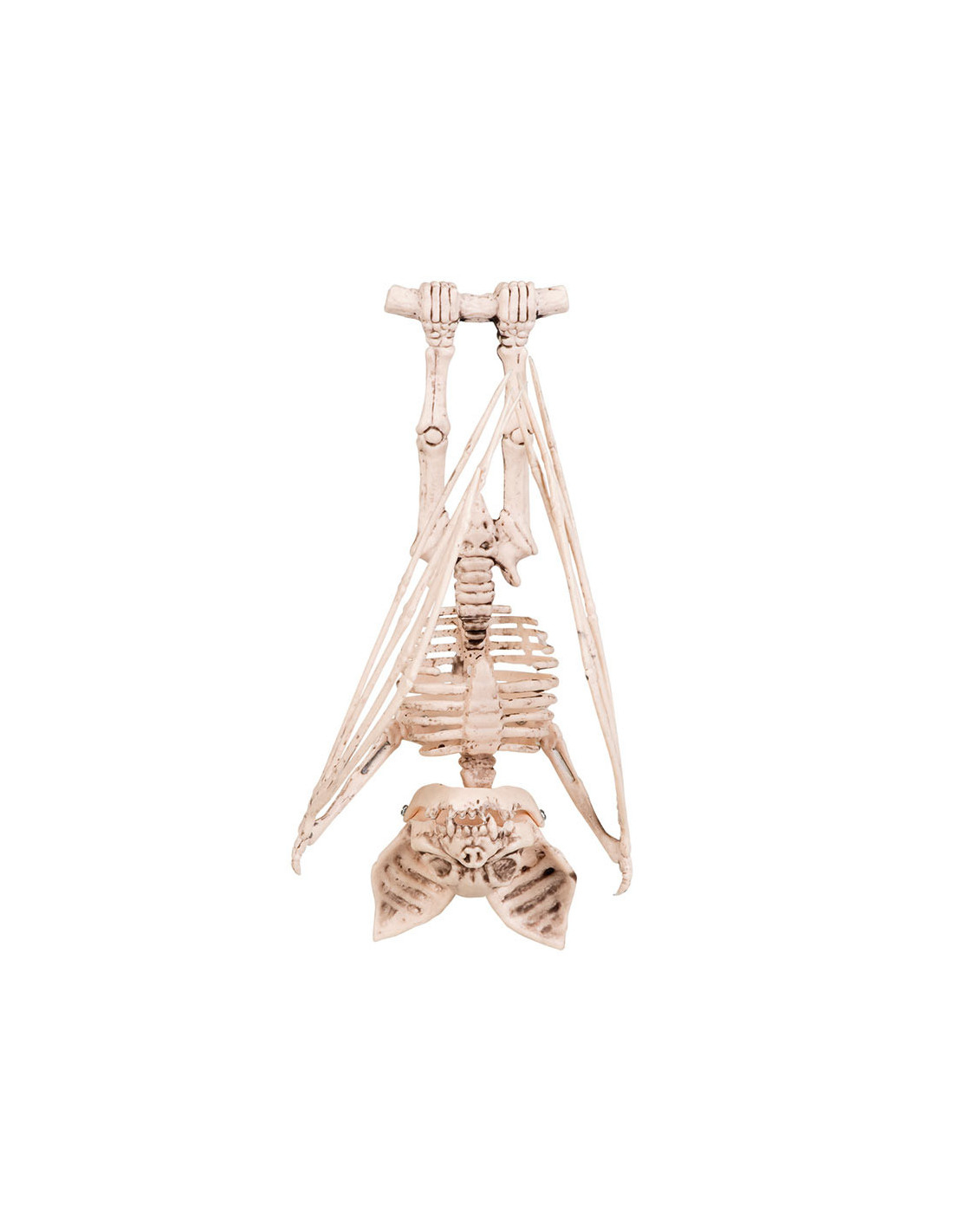 Chauve-Souris Squelette Décoration - Achetez À à Squelette Chauve Souris 