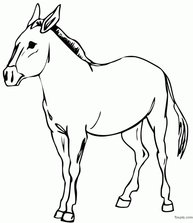 Cheval - Coloriage Cheval Gratuit A Imprimer - Toupty pour Coloriage Toupty 